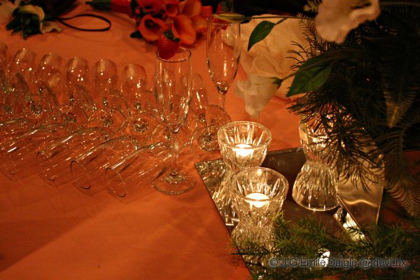 Champagne Glasses
